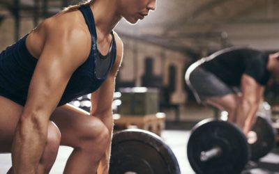 Tip 13: Zes Muscle Builders